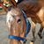 Wendy Basinger's profile image