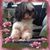 Leeann Moore Neal's profile image