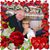 Gayle McMahan-Vuletic's profile image