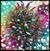Rhonda Kaurin's profile image