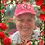 Colleen Hayes's profile image