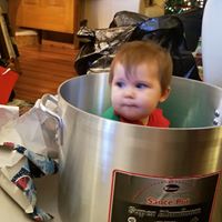 Will Womble's profile image