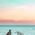 Rebecka M. Wallingford's profile image
