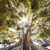 Rose Hoynacki's profile image