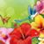 Colleen Gombert's profile image