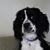 Mary Dunham Faulstich's profile image