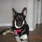 Nalei C.'s profile image