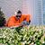 Dallas DeVost's profile image