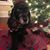 Beth Wilkinson Hallock's profile image