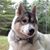 Karen Schuster's profile image