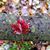 Mary Sill-jensen's profile image