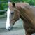 Robin Marra Kelly's profile image