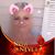 Lynn Craddock-Nores's profile image