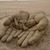 Terri Kimball Cunningham's profile image