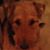 Jeff Furano's profile image