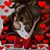 Maria Vasquez's profile image
