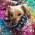 Trisha Reid's profile image