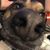 Shannon Drake Crowell's profile image