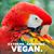 Ellen Kessler's profile image