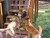 Allison L.'s profile image