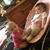 VannaLynn Burgoyne's profile image