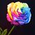 Poppy Nereida Arrow's profile image