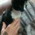 Abby Wyne Soaper's profile image