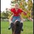 Nikki Norwood-Shultz's profile image