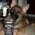 Lisa Logwood-Messina's profile image