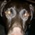 Areal Nam's profile image