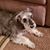 Robyn Ekland Thompson's profile image