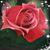 Linda French Rose's profile image