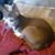 Kathy Ezell's profile image
