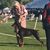Gwen Lucoff's profile image