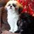 Kim Anderson's profile image