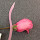 Tracie J.'s profile image