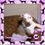 Rhea Abbott's profile image