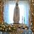 Salvatore Giusy Guida's profile image
