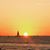 Gail Csiszar's profile image