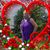 Vanessa Johnson's profile image