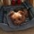Susie Thomas's profile image