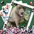 Tonya Grady's profile image