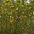 Trina Todd Griffy's profile image
