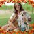 Cornelia C.Heckenbach's profile image