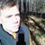 David Shaver's profile image
