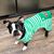 Dawn McAdams's profile image