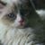 Linda Marchand's profile image