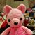 Olga Almendarez's profile image