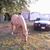 Linda Kline's profile image