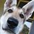Whitney Stephenson's profile image